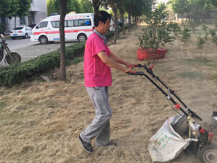 绿化工程