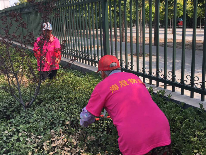 绿化工程