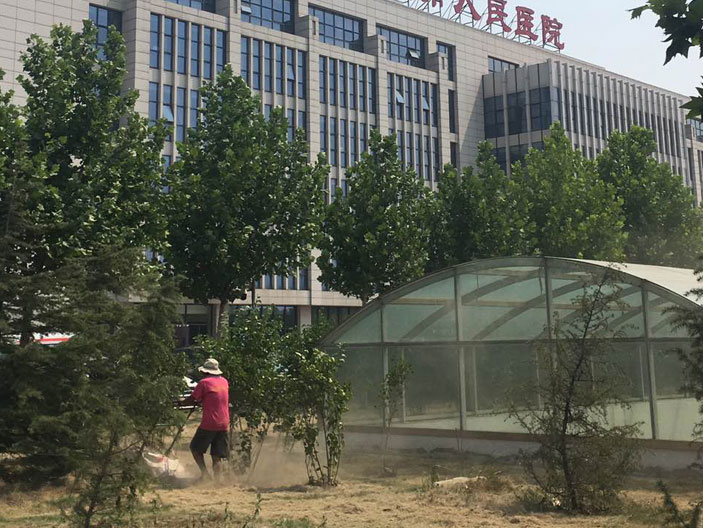 绿化工程