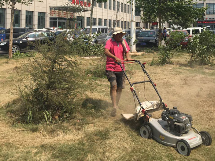 绿化工程